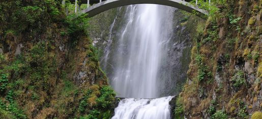 sasquatch waterfall tour
