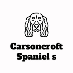 Carsoncroft Spaniels 
