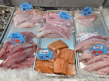 Red Snapper, Salmon, Triggerfish, Yellowedge Grouper, Scamp, Black Grouper