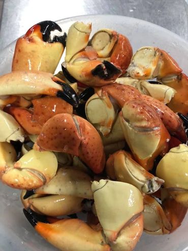 Stone Crabs