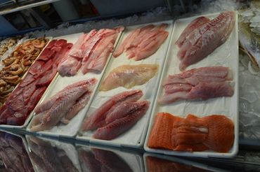 Salmon Fillets, Grouper Fillets, Snapper Fillets, Tuna Loin, Shrimp Tails