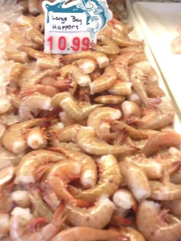 Shrimp - Large Bay Hoppers