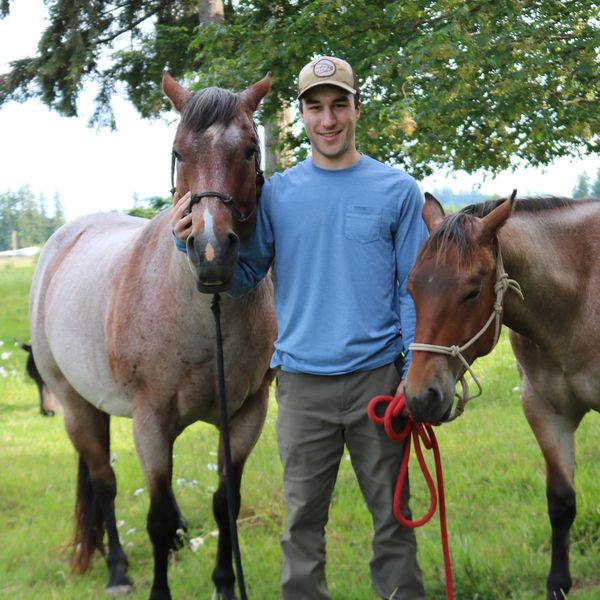 Man standing with two horses in a grassy area.