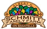 Schmitt's on Bagatelle
