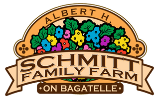 Schmitt's on Bagatelle