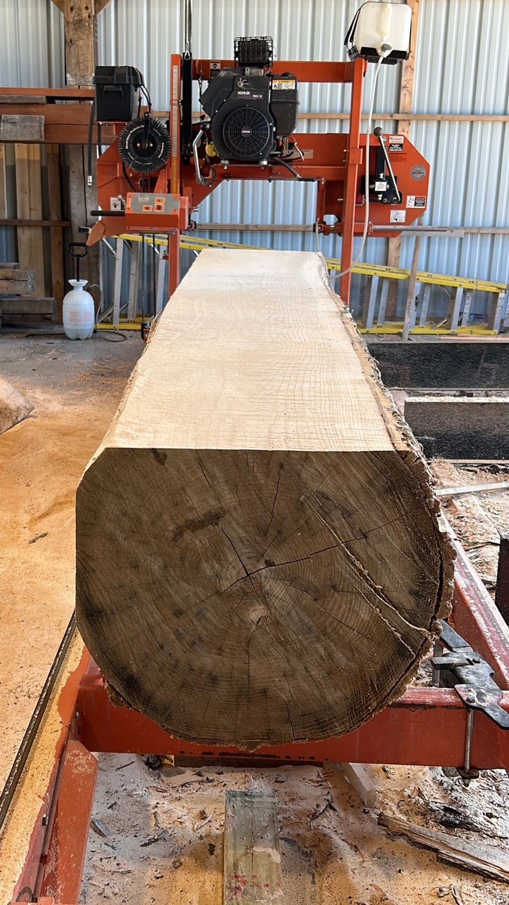 Ash log being sawn into hardwood dimensional lumber.