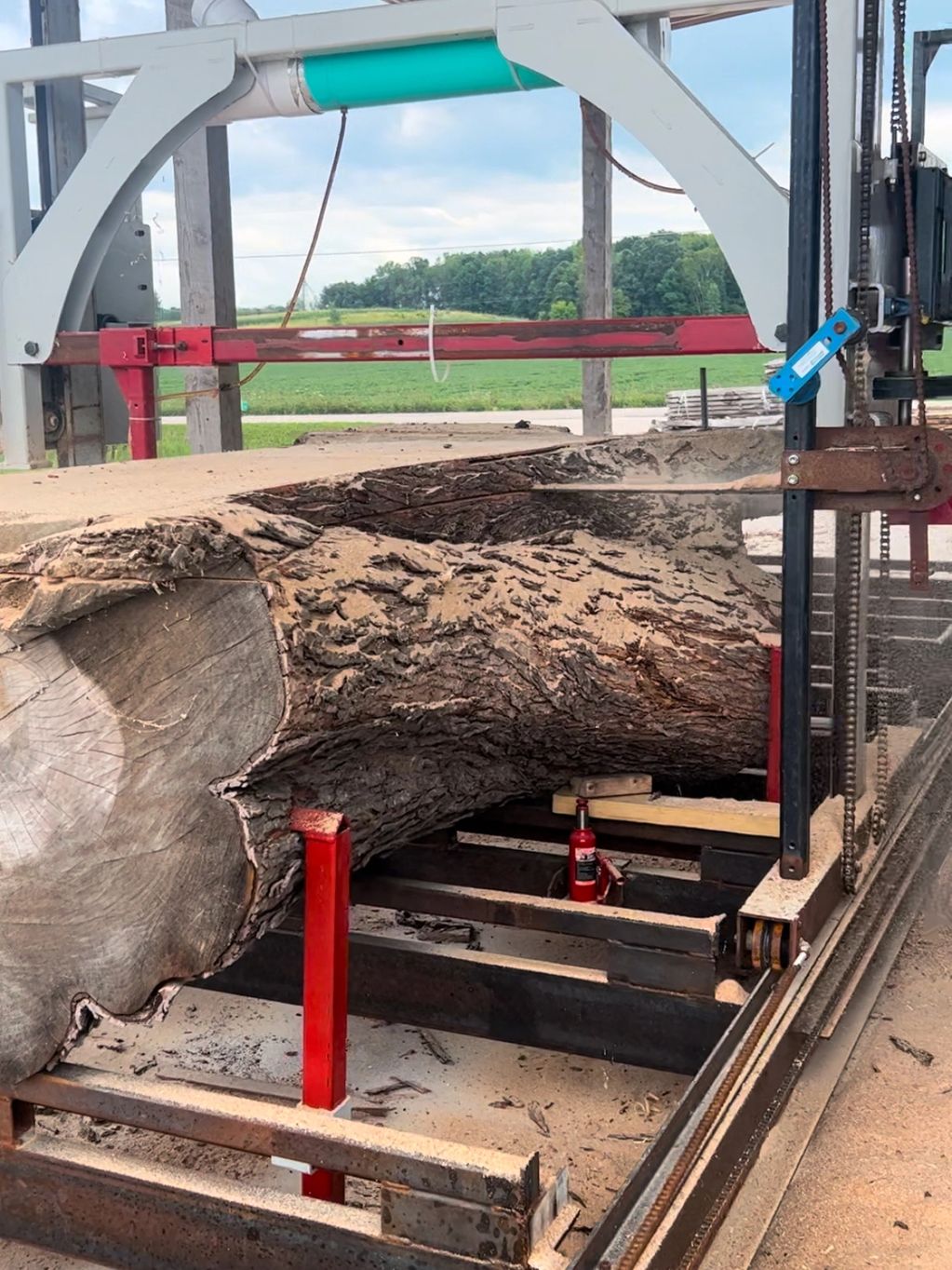 Large Maple Log Being Sawn into Live Edge Slabs