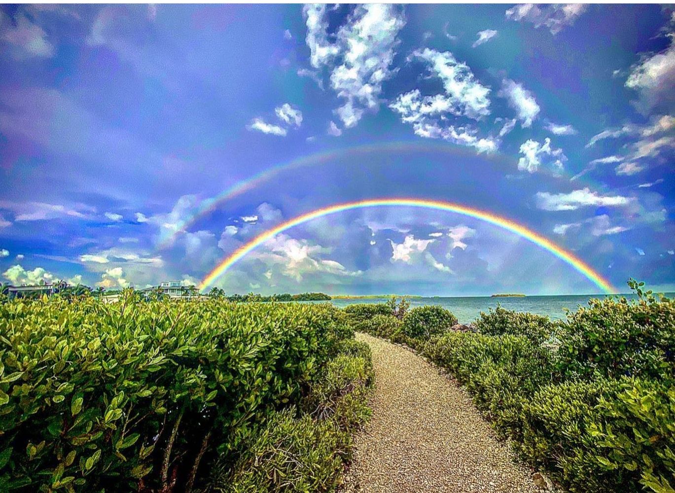 A winding path through green bushes leads to a double rainbow over the ocean under a cloudy blue sky.