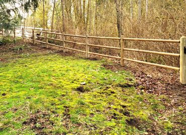 A wooden fence bordering a grassy area and forest.