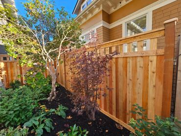 A neatly landscaped backyard with a wooden fence and various plants.