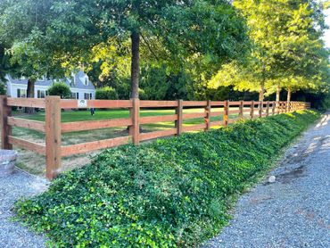 Long wooden fence alongside a gravel path and green shrubbery under tall trees.