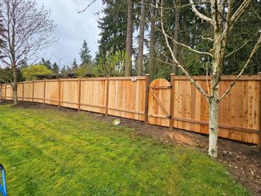 A long wooden fence with a gate enclosing a backyard.