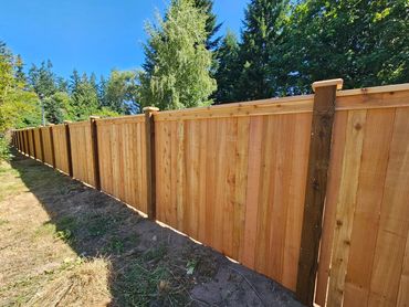 A long wooden fence extending through a sunny backyard.