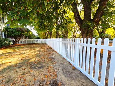 White picket fence along a tree-lined yard on a sunny day.