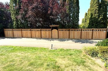 A tall wooden fence with a small arched gate in a sunny garden.