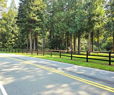 A tree-lined road with a wooden fence and green grass beside it.