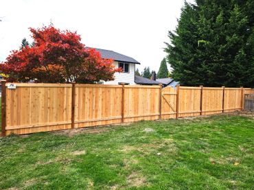 New wooden fence surrounding a backyard with green grass and a red-leafed tree.