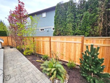 A backyard with a wooden fence, paved walkway, and various plants.