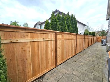 New wooden privacy fence alongside a paved walkway between houses.