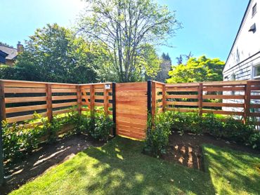 A sunny backyard with a wooden fence and green plants.