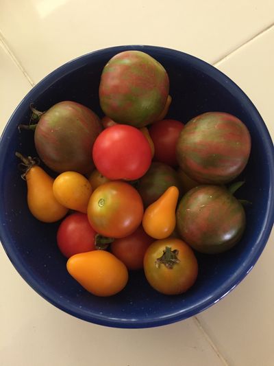 tomatoes 