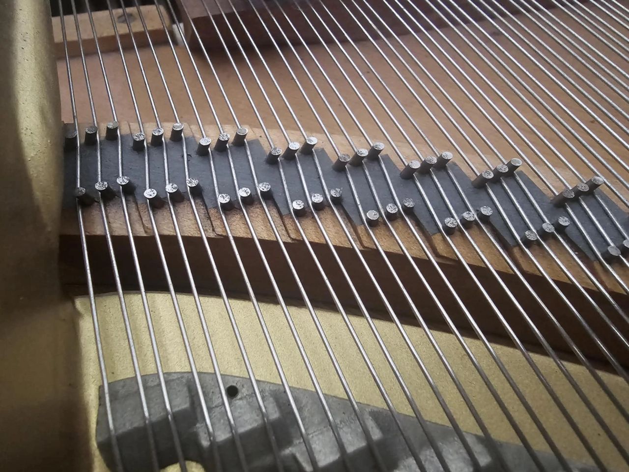 Strings crossing a bridge on a Steinway grand. 