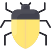 Insect