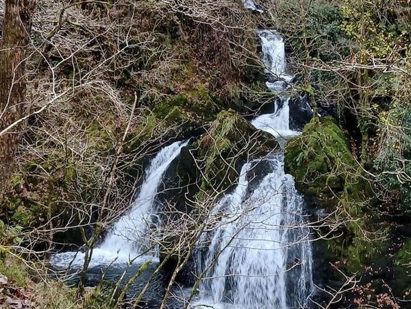 Waterfall cascades down a hillside, following multiple pathways down into the same pool of water