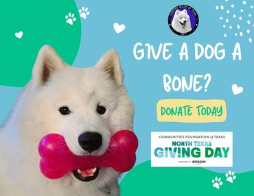 North Texas Giving Day - Give a Dog a Bone.