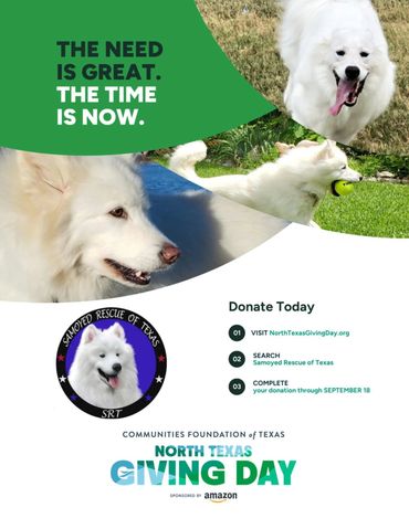 North Texas Giving Day 2025