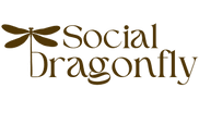 socialdragonfly.co