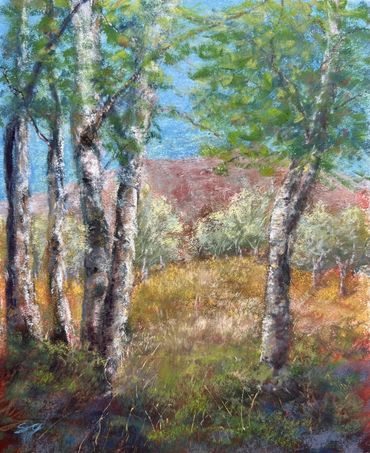 Pastel painting 
Grove of aspen trees