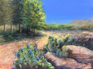 New Mexico landscape
