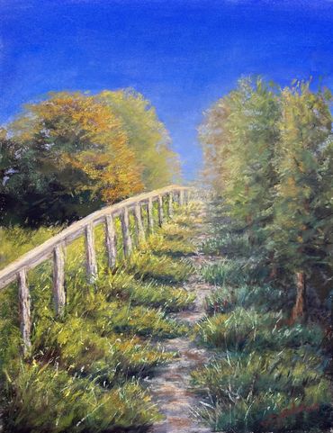 garden pathway