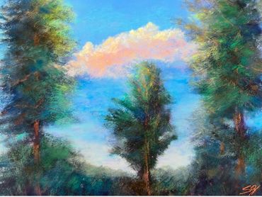Pines with cloud