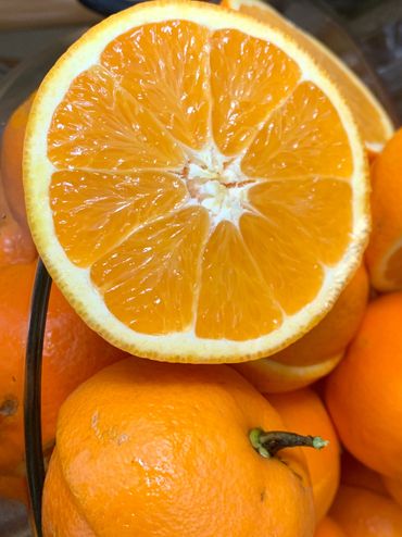 Heirloom Valencia Oranges