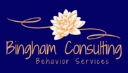 Bingham Consulting