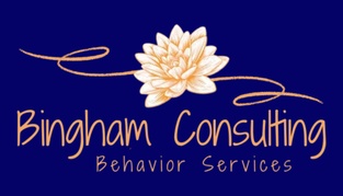Bingham Consulting