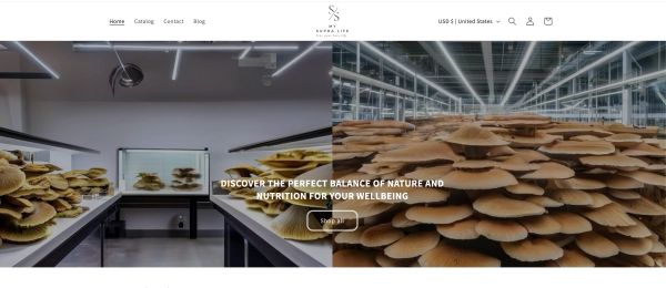 Indoor mushroom cultivation facility with growing shelves.