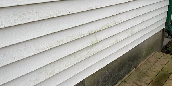 Algae on siding