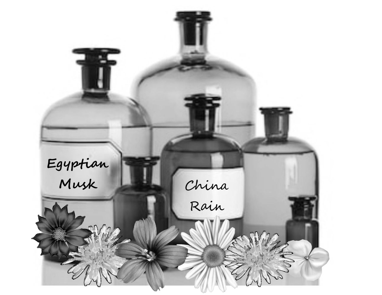 Common Scents, Fragrance Oils, Wholesale Body Oils
