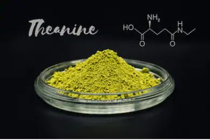 Improved Sleep With L Theanine