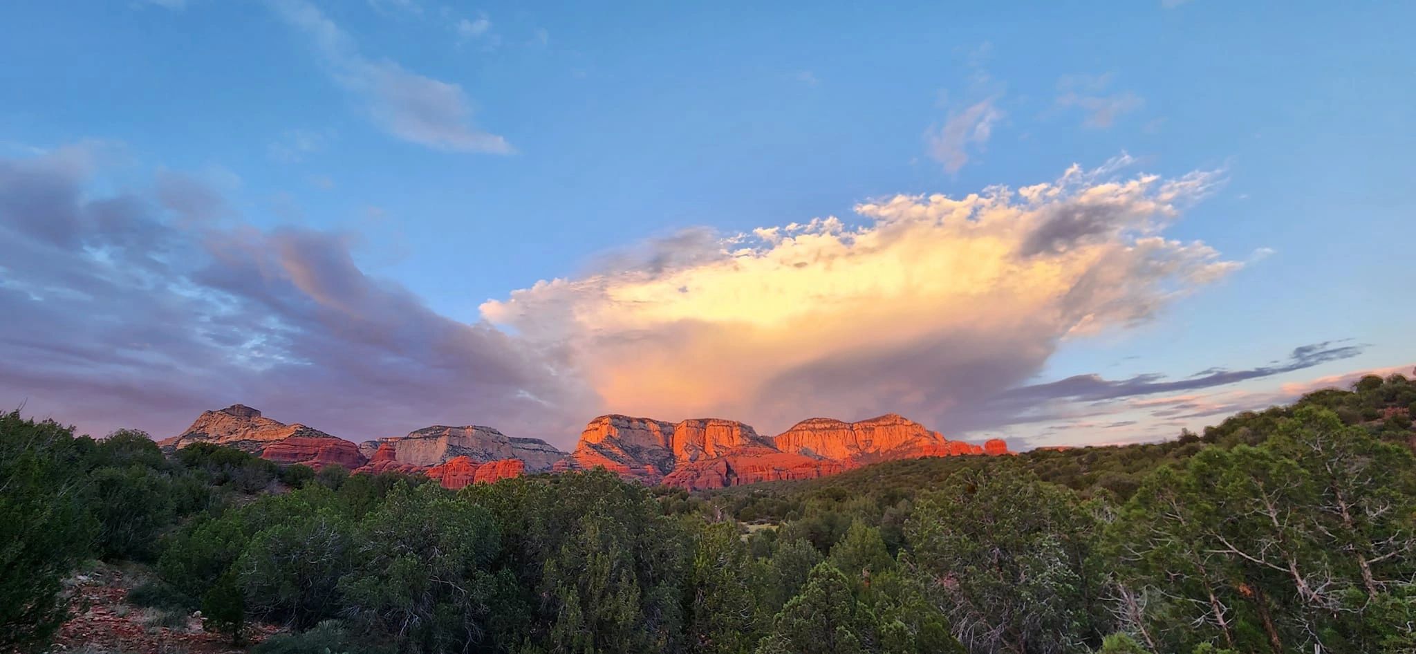 Support The Adventures