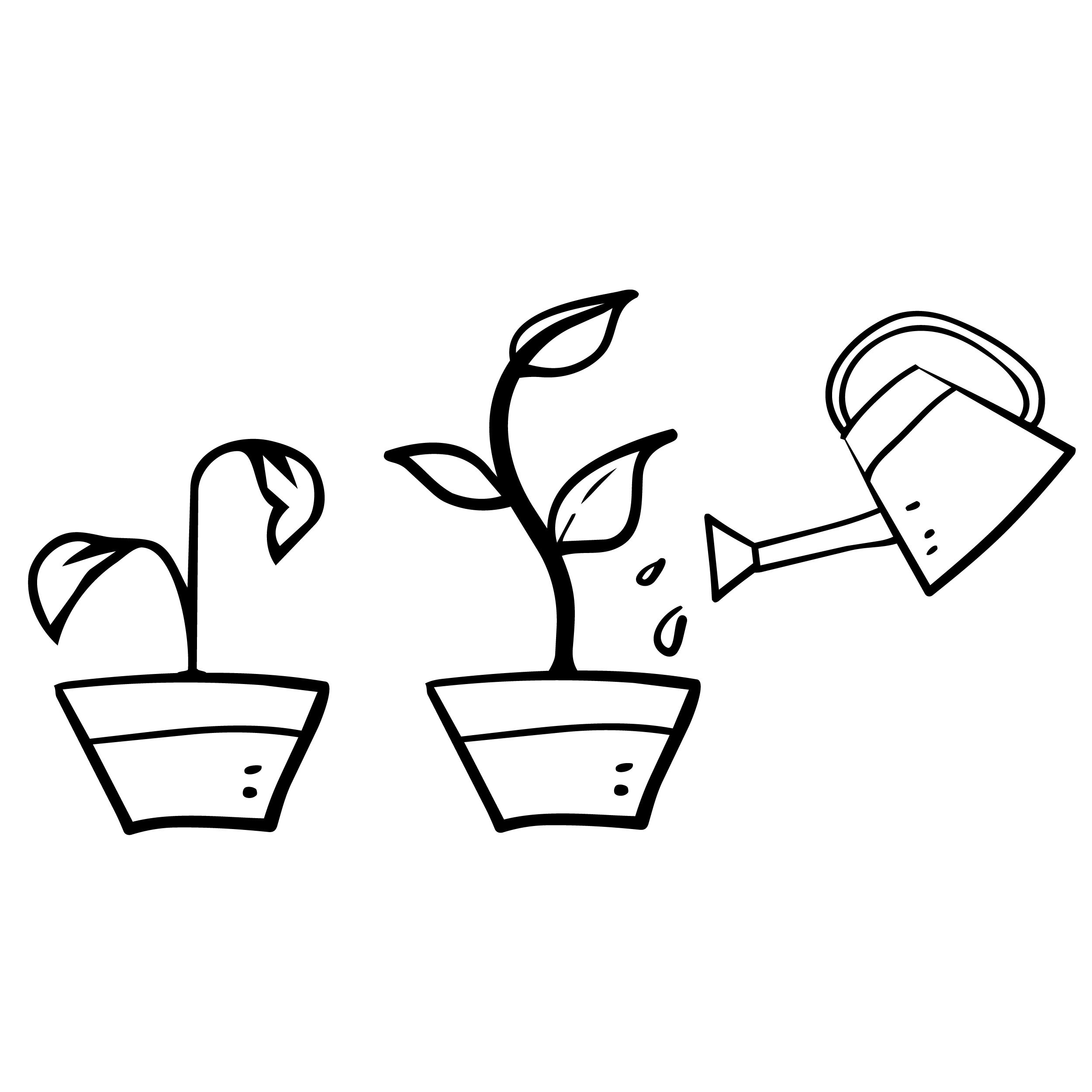 Black and white illustration of watering a growing plant in pots.