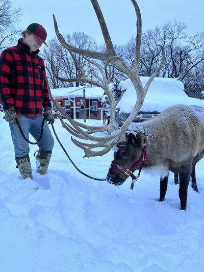 Person in red plaid with reindeer in snowy landscape.