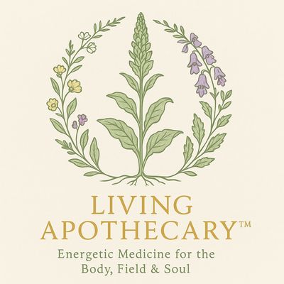 energy medicine for the body field and soul 32 years of expertise personal holistic healing care 