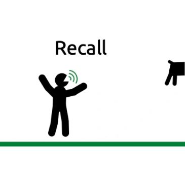 Dog behaviour problems: recall