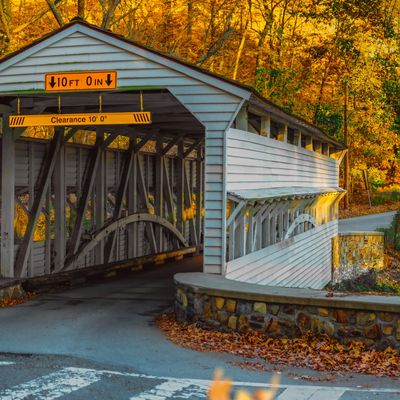 A white covered bridge surrounded by autumn foliage with clearance signs.