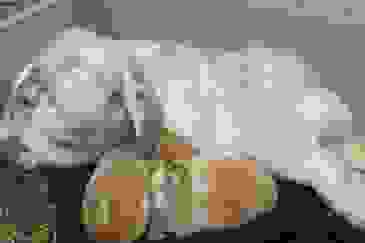 image2320