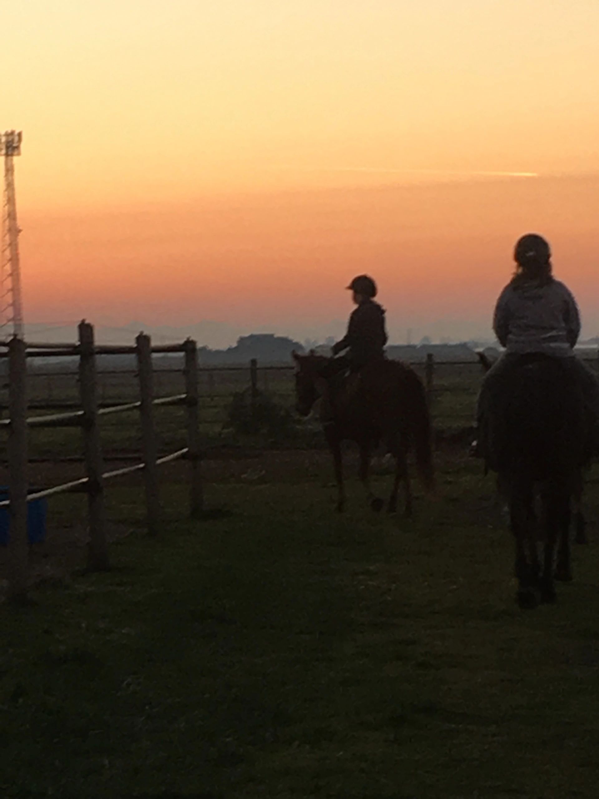 Pony Pals Therapeutic Riding Association logo